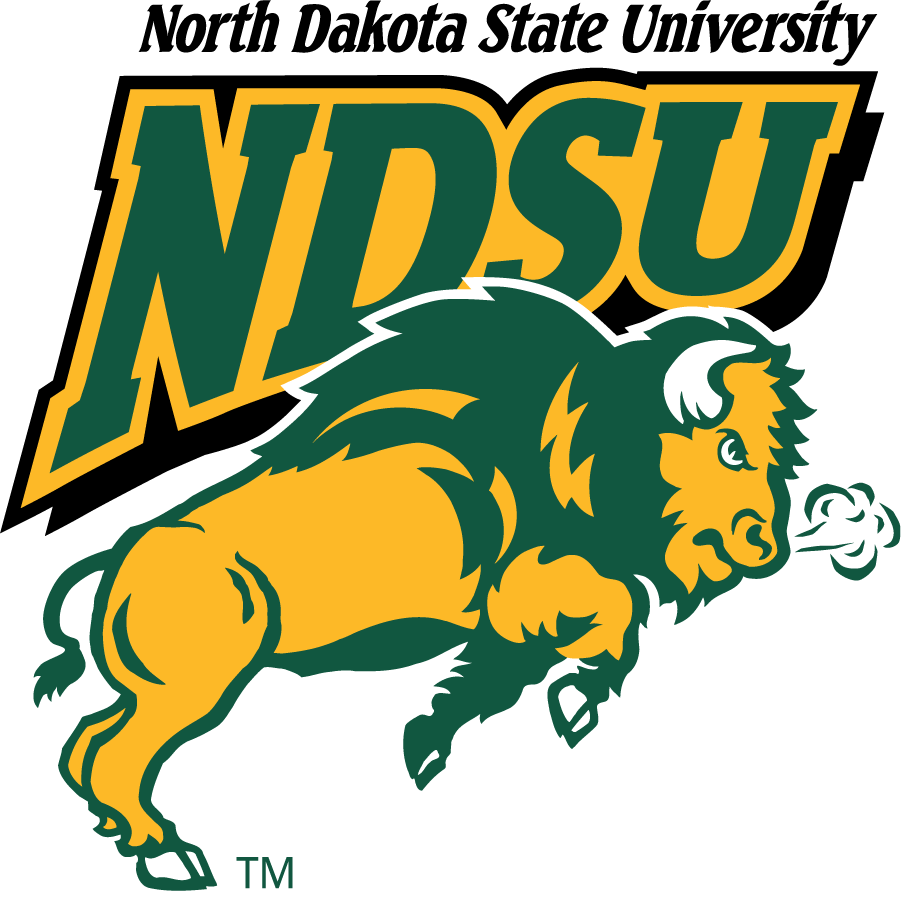 North Dakota State Bison 1999-2012 Alternate Logo v2 iron on transfers for clothing